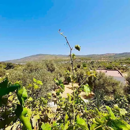 Casa vacanze Kizilagac'ta Tas Ev Bodrum