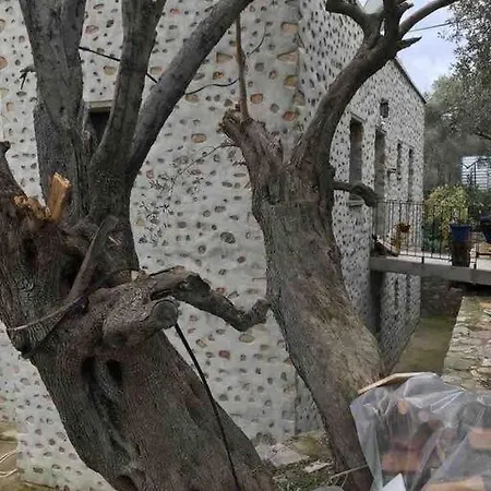 Casa vacanze Kizilagac'ta Tas Ev